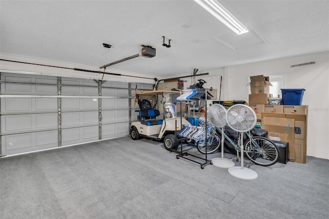 1657 Glengarry Dr, Palm Harbor, FL 34684 - view of garage