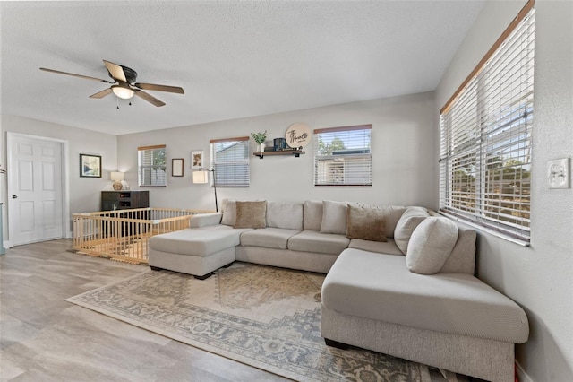 5302 S Himes Ave, Tampa, FL 33611 - photo 3