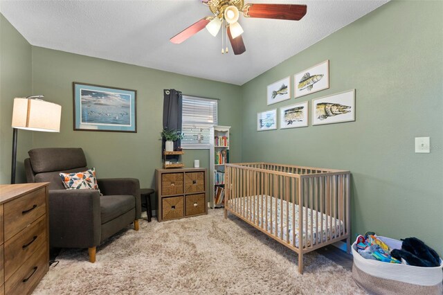 5302 S Himes Ave, Tampa, FL 33611 - photo 24