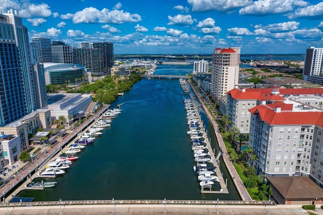drone / aerial view featuring a city view and a water view
