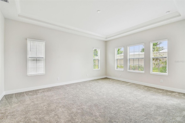 carpeted spare room with a raised ceiling and baseboards