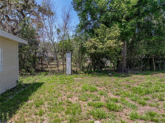 view of yard