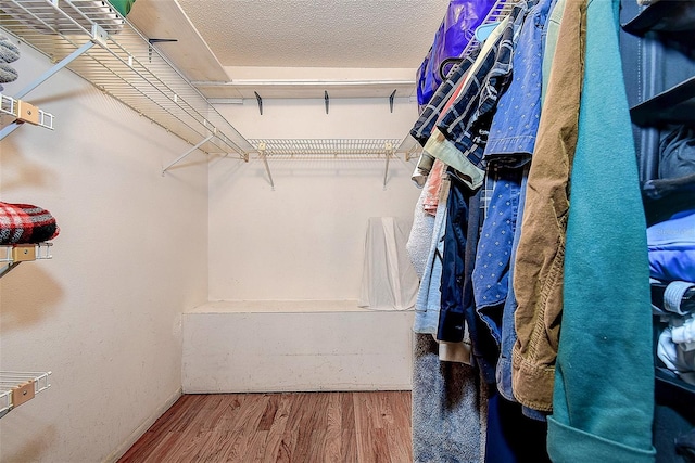 3647 Lake St, George Drive, Palm Harbor, FL 34684 - spacious closet featuring wood finished floors