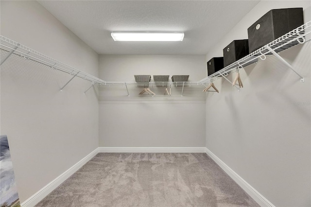 5601 Limelight Dr, Apollo Beach, FL 33572 - spacious closet featuring carpet floors