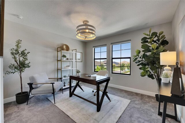 5601 Limelight Dr, Apollo Beach, FL 33572 - office with carpet and a textured ceiling