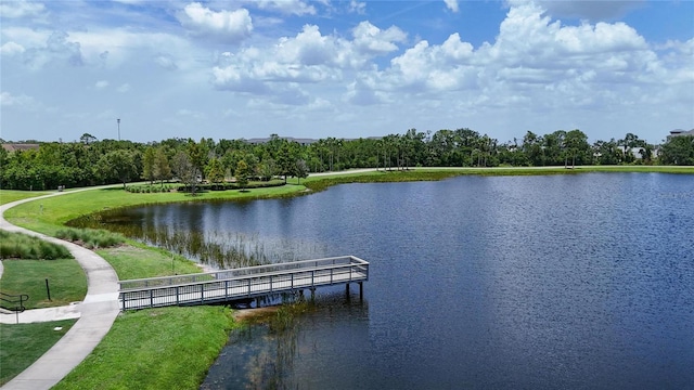 5601 Limelight Dr, Apollo Beach, FL 33572 - water view