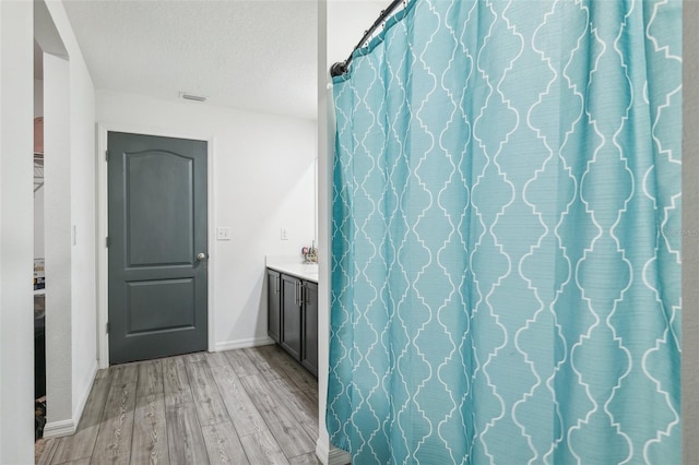 14100 Holly Hammock Ln, Brooksville, FL 34613 - full bath with vanity, baseboards, a textured ceiling, visible vents, and wood finished floors