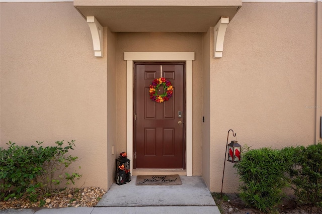 11704 Castine St, New Port Richey, FL 34654 - doorway to property with stucco siding
