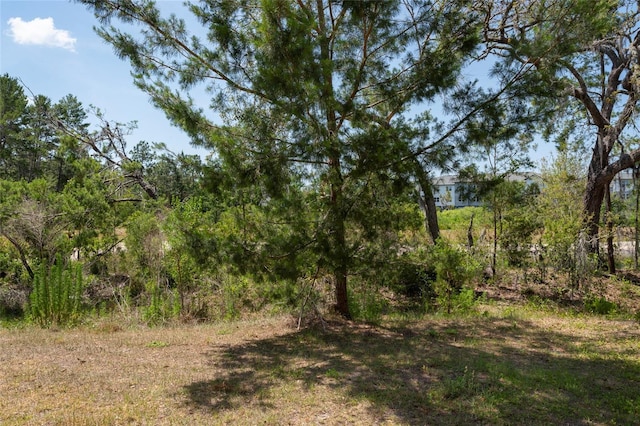 11704 Castine St, New Port Richey, FL 34654 - view of nature