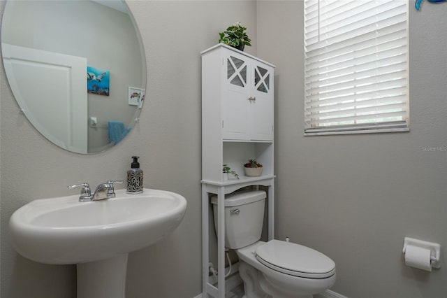 11704 Castine St, New Port Richey, FL 34654 - half bathroom with toilet and a sink