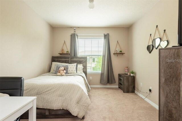 10425 Yellow Spice Ct, Riverview, FL 33578 - bedroom with baseboards and light colored carpet