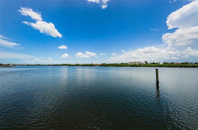 property view of water