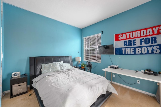2539 Centennial Falcon Dr, Valrico, FL 33596 - bedroom featuring carpet