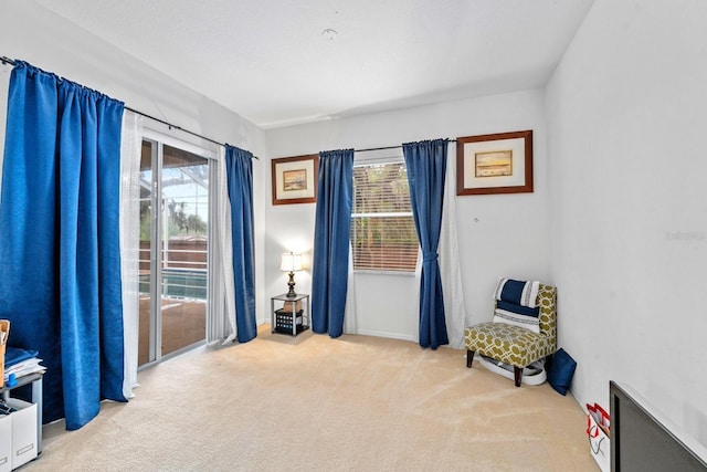 2539 Centennial Falcon Dr, Valrico, FL 33596 - sitting room featuring carpet floors and plenty of natural light