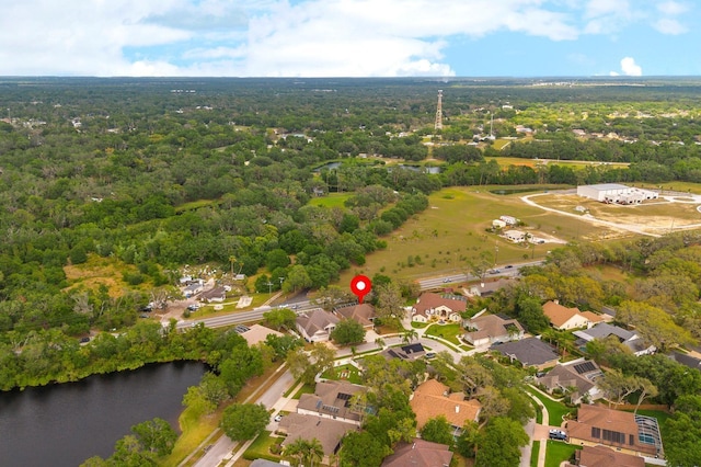 2539 Centennial Falcon Dr, Valrico, FL 33596 - aerial view of property and surrounding area with a forest and a nearby body of water