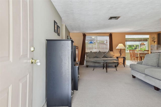 3514 Truman Dr, Holiday, FL 34691 - photo 5