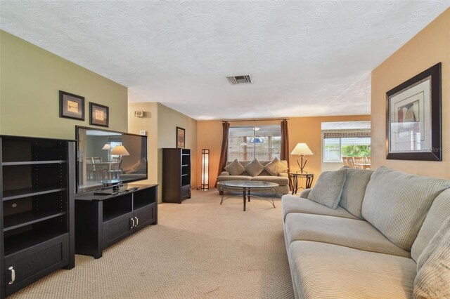 3514 Truman Dr, Holiday, FL 34691 - photo 7