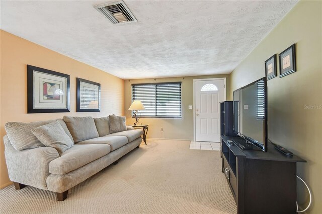 3514 Truman Dr, Holiday, FL 34691 - photo 8
