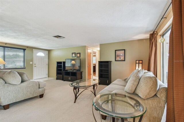 3514 Truman Dr, Holiday, FL 34691 - photo 10