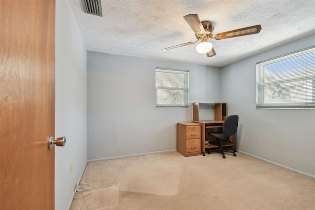 3514 Truman Dr, Holiday, FL 34691 - photo 31