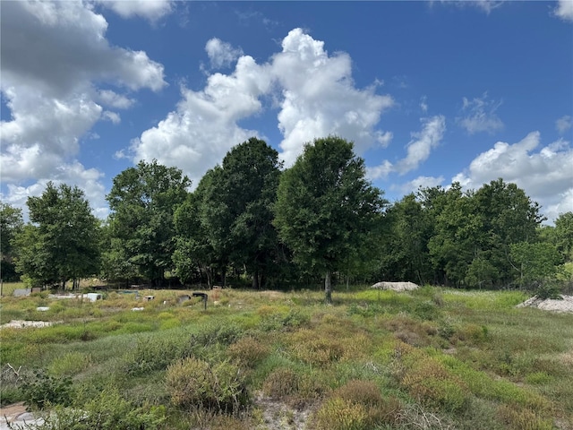 10931 Pathfinder Trl, Lakeland, FL 33809 - photo 8