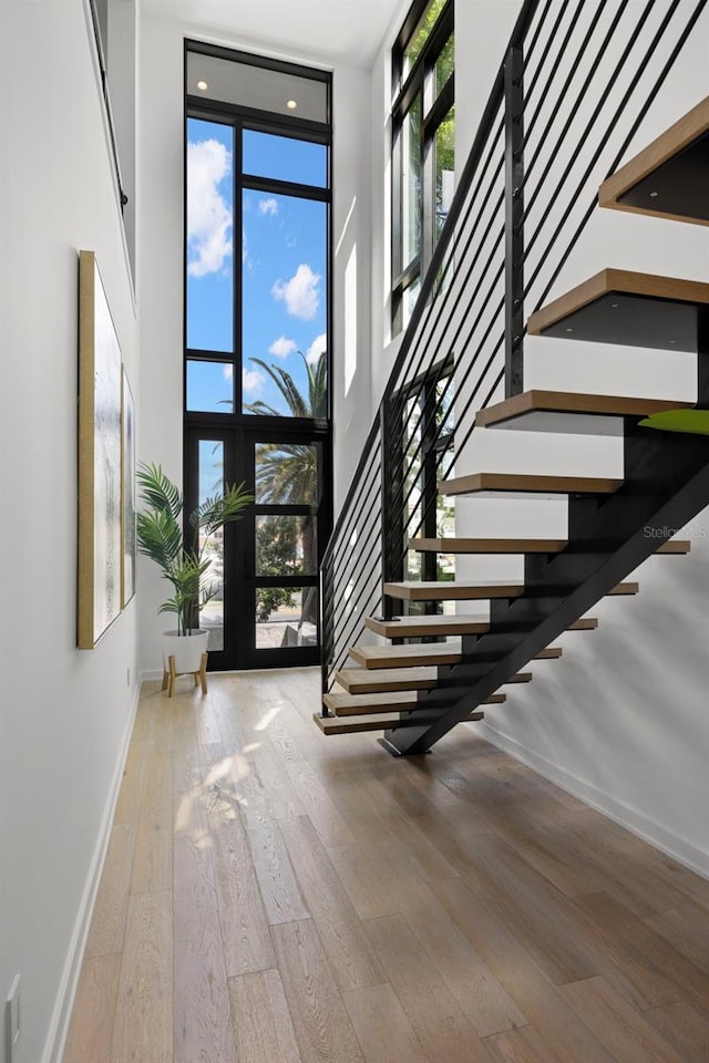 98 W Davis Blvd, Tampa, FL 33606 - foyer with a wealth of natural light, a high ceiling, hardwood / wood-style floors, and a wall of windows