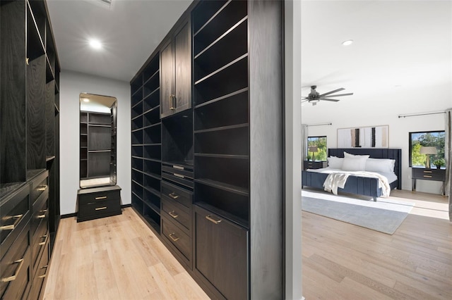 98 W Davis Blvd, Tampa, FL 33606 - walk in closet with a ceiling fan and light wood-style floors
