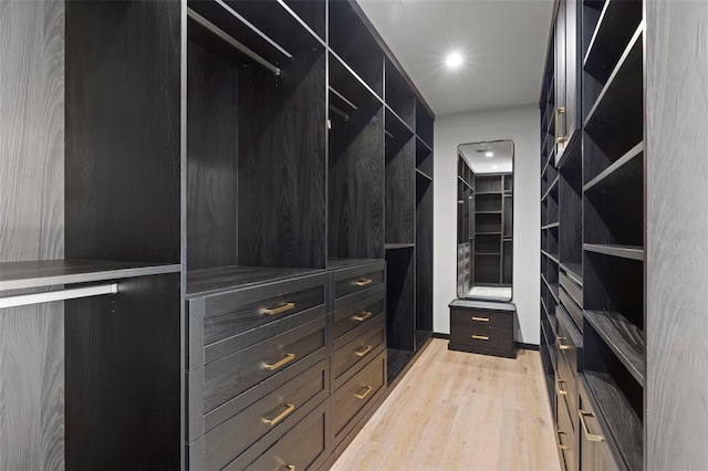 98 W Davis Blvd, Tampa, FL 33606 - spacious closet featuring light wood-style flooring