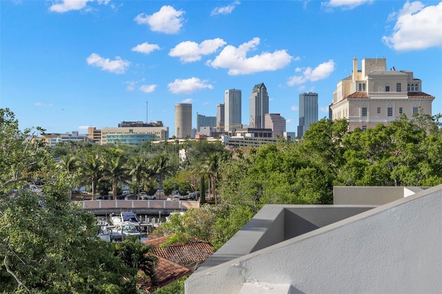 98 W Davis Blvd, Tampa, FL 33606 - property's view of city
