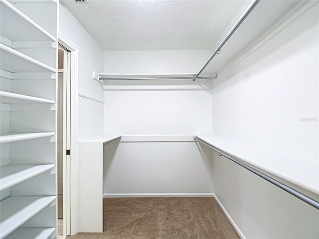 spacious closet featuring carpet