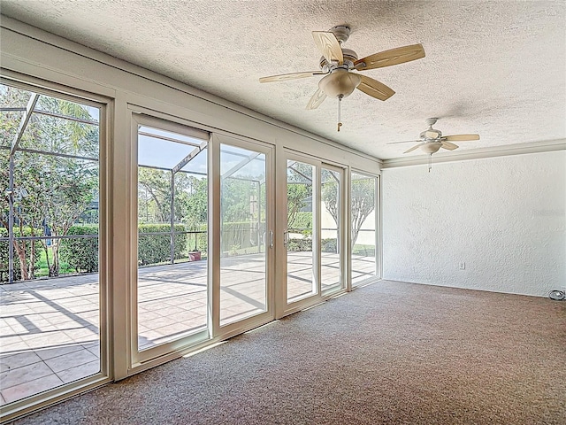 unfurnished sunroom featuring carpet, a textured wall, and a textured ceiling