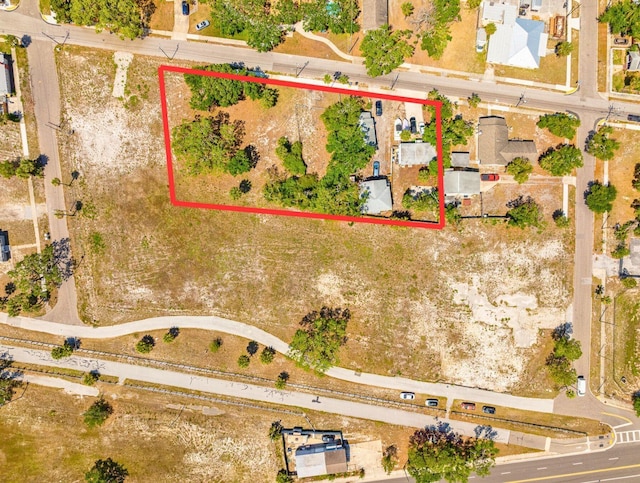 N Garden Ave, Clearwater, FL 33755 - photo 3