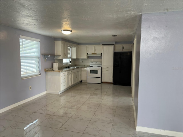 5151 Janice Ln, Holiday, FL 34690 - photo 3