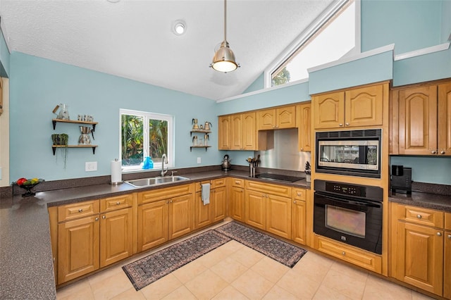 508 N Mayo St, Crystal Beach, FL 34681 - kitchen with open shelves, dark countertops, a sink, vaulted ceiling, and black appliances