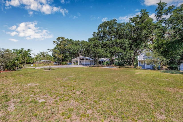 view of yard featuring a detached carport and aphalt driveway