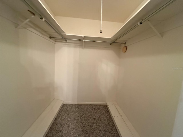 spacious closet with carpet flooring