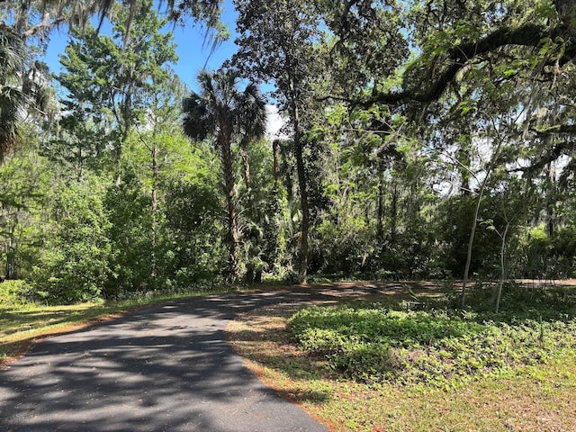 view of road featuring a forest view