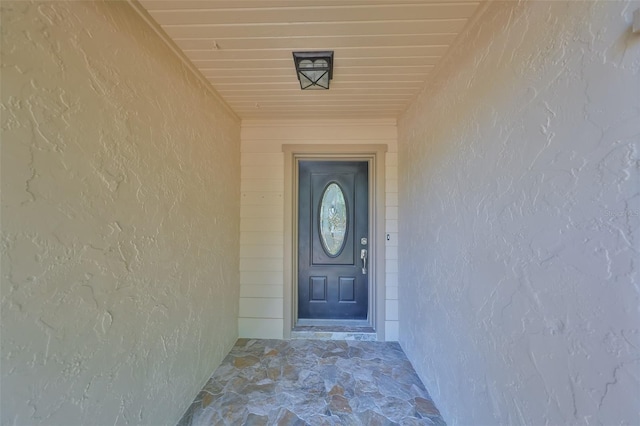 940 Woodland Dr, Palm Harbor, FL 34683 - photo 6