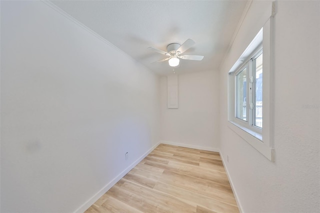 940 Woodland Dr, Palm Harbor, FL 34683 - photo 19