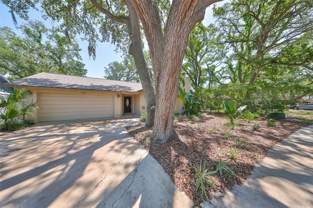 940 Woodland Dr, Palm Harbor, FL 34683 - photo 47