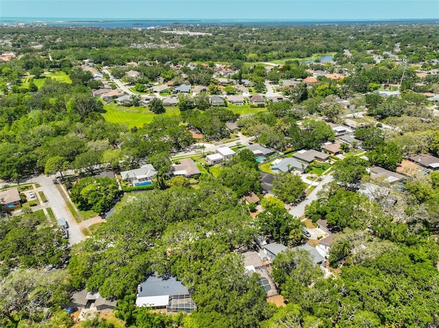 940 Woodland Dr, Palm Harbor, FL 34683 - photo 49