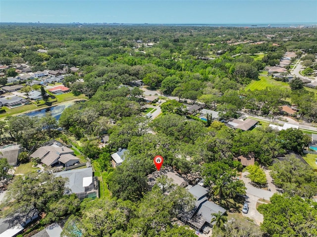 940 Woodland Dr, Palm Harbor, FL 34683 - photo 52