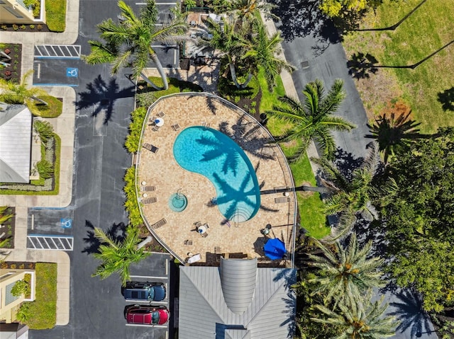 bird's eye view