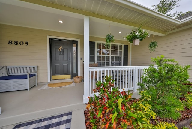 8805 Van Fleet Rd, Riverview, FL 33578 - entrance to property with covered porch