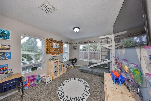 8805 Van Fleet Rd, Riverview, FL 33578 - game room with a textured ceiling, carpet, visible vents, and plenty of natural light