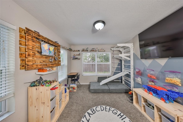 8805 Van Fleet Rd, Riverview, FL 33578 - recreation room with a textured ceiling, baseboards, and carpet