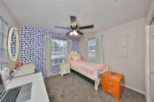 8805 Van Fleet Rd, Riverview, FL 33578 - carpeted bedroom with access to outside, ceiling fan, a textured ceiling, electric panel, and baseboards