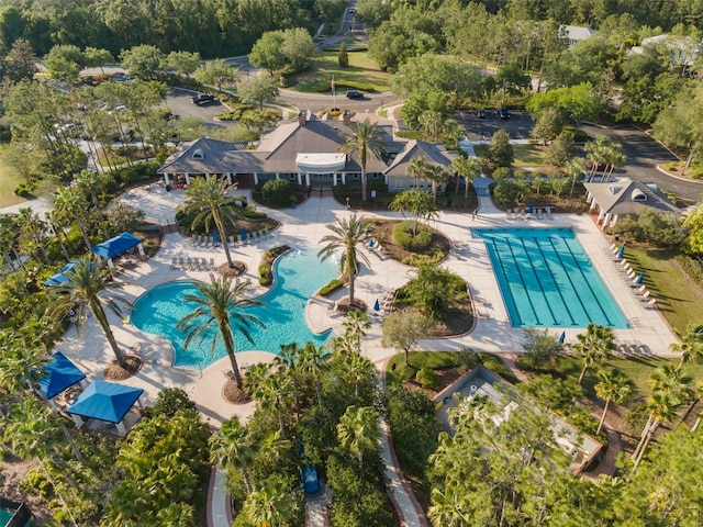 bird's eye view