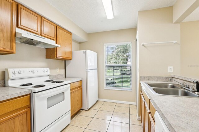 7303 E Bank Dr, Tampa, FL 33617 - photo 14