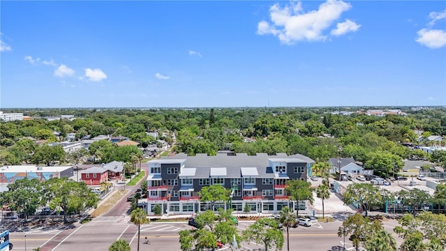 11 29th St N, Saint Petersburg, FL 33713 - drone / aerial view